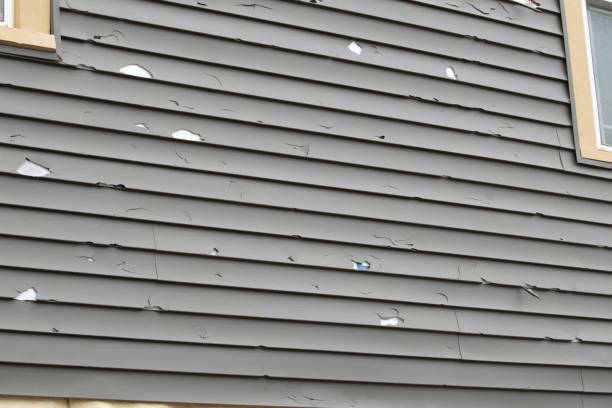 Best Siding for New Construction  in Wolfe City, TX